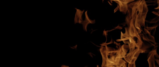 Pack gratuit d'éléments pour Motion Design