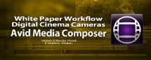 Avid : White paper "Workflows Digital Cinema Cameras"