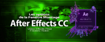 After Effects : Les options de la fenêtre Montage After Effects : Les options de la fenêtre Montage