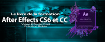 After Effects : Le livre de la formation pour les débutants After Effects : Le livre de la formation pour les débutants