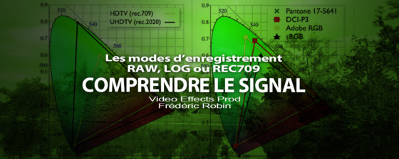 Utiliser des effets films pour styliser vos montages