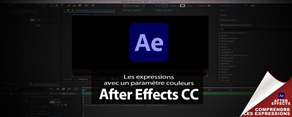 After Effects : options pour expressions 