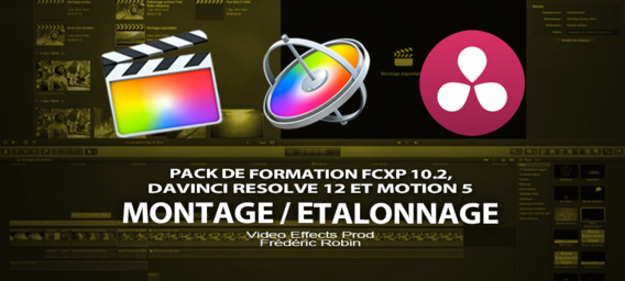 DaVinci Resolve 12 : Gérer les métadonnées dans la page média (#video13)