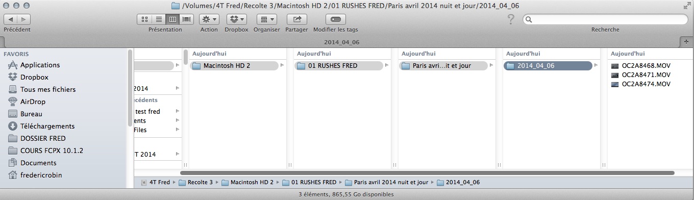 Résultat du rassemblement des fichiers avec Resolve Collect.