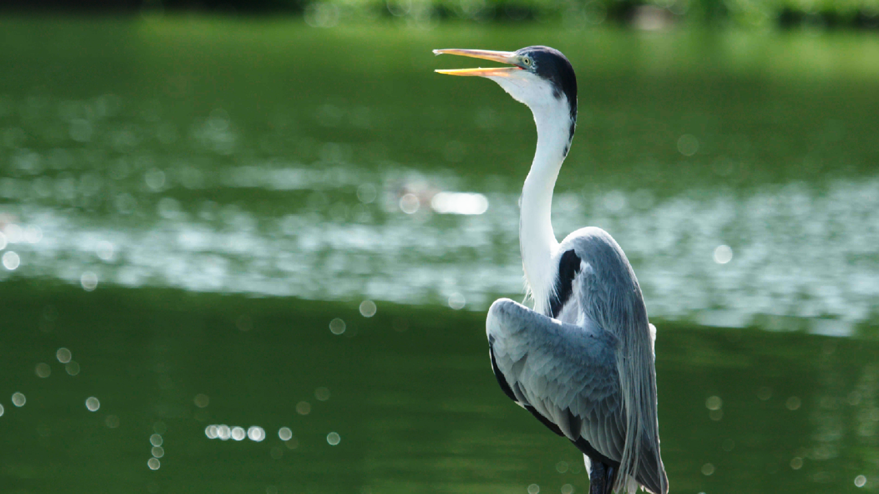 Etalonnage Sony FS7 avec une LUT et correction colorimétrique