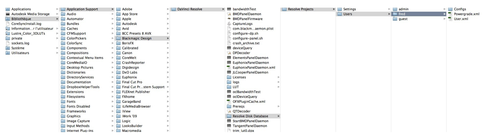 Dossier de la base de donnée sous DaVinci Resolve 12