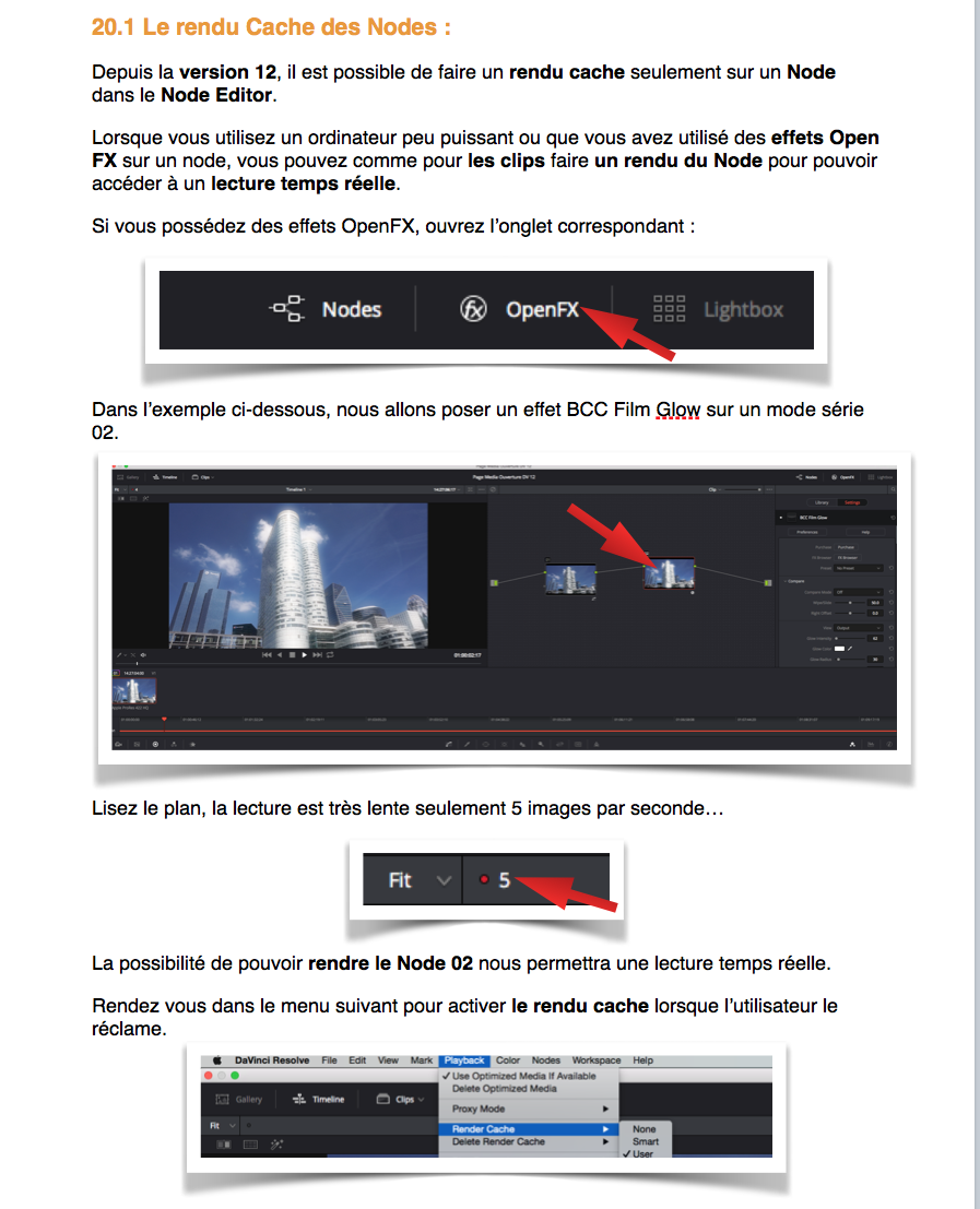 PDF de formation DaVinci Resolve 12.5 : Le montage et l'étalonnage sous un seul logiciel