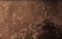 Peugeot Onyx Concept Car