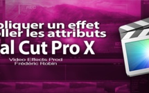 FCPX 10.1.1 : Appliquer un effet et coller les attributs (vidéo 27)