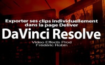 DaVinci Resolve 12 : Page Deliver Individual source clip (#video85)