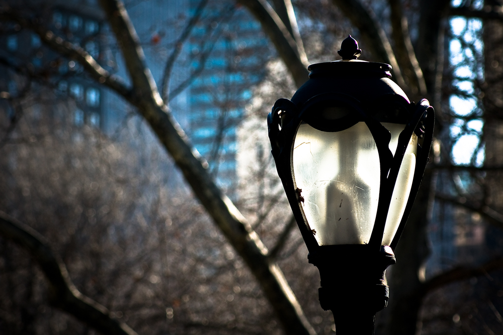 New York Fred-33 New York Fred-33