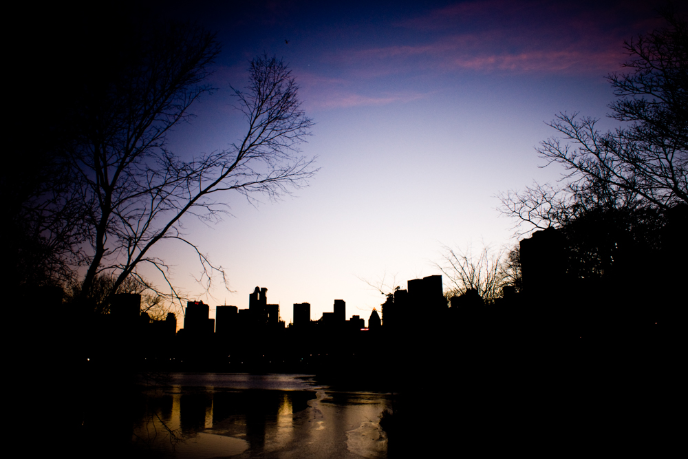 New York Fred-35 New York Fred-35