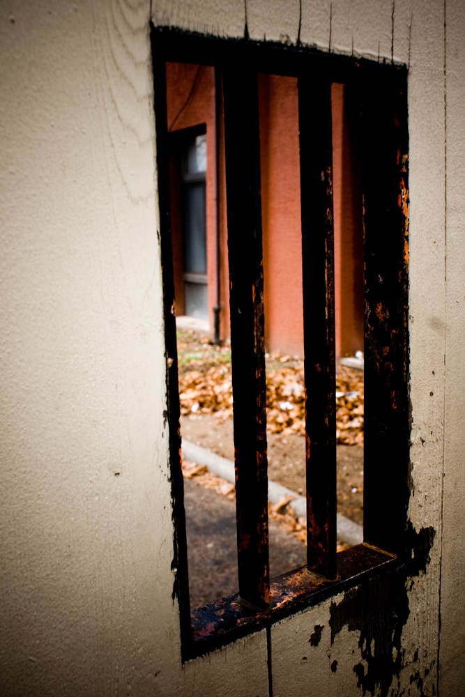 New York Fred-39 New York Fred-39