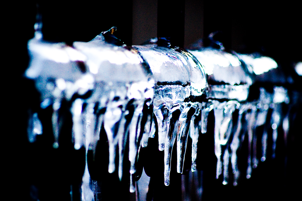 New York Fred-49 New York Fred-49