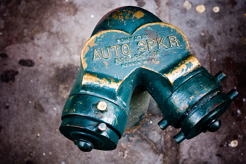 New York Fred-56 New York Fred-56