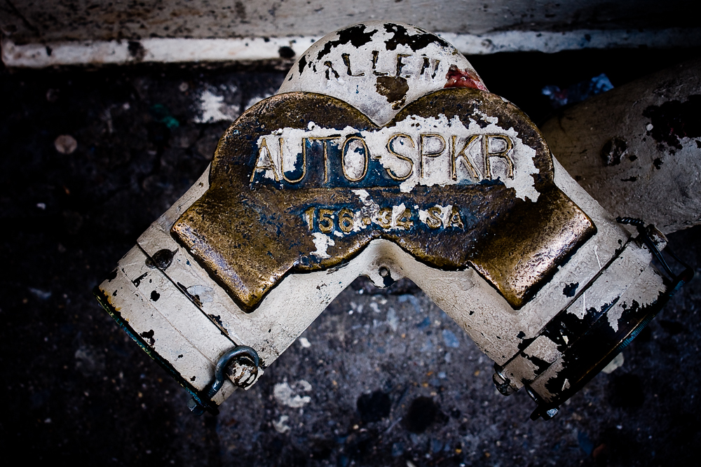 New York Fred-57 New York Fred-57