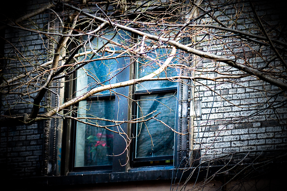 New York Fred-60 New York Fred-60