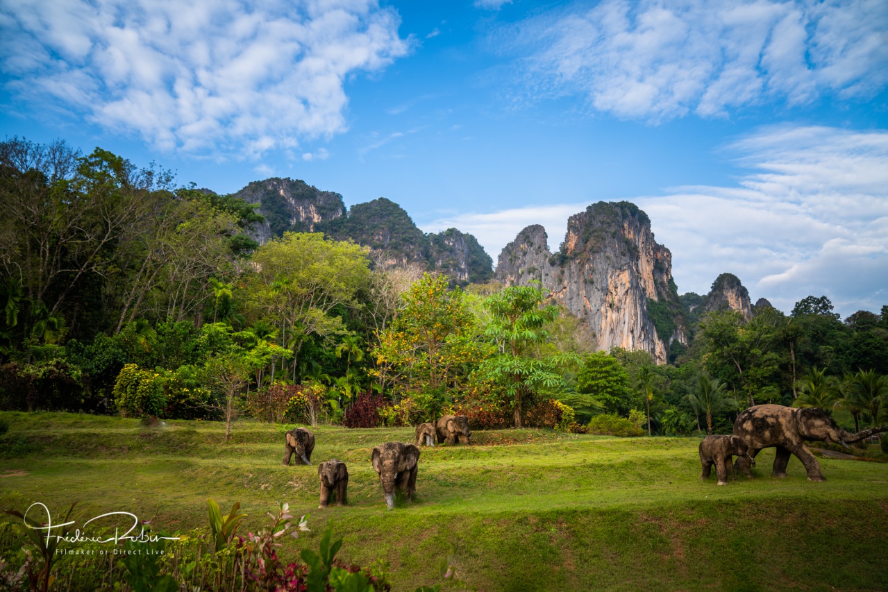 Paysage Krabi Thaïlande Paysage Krabi Thaïlande