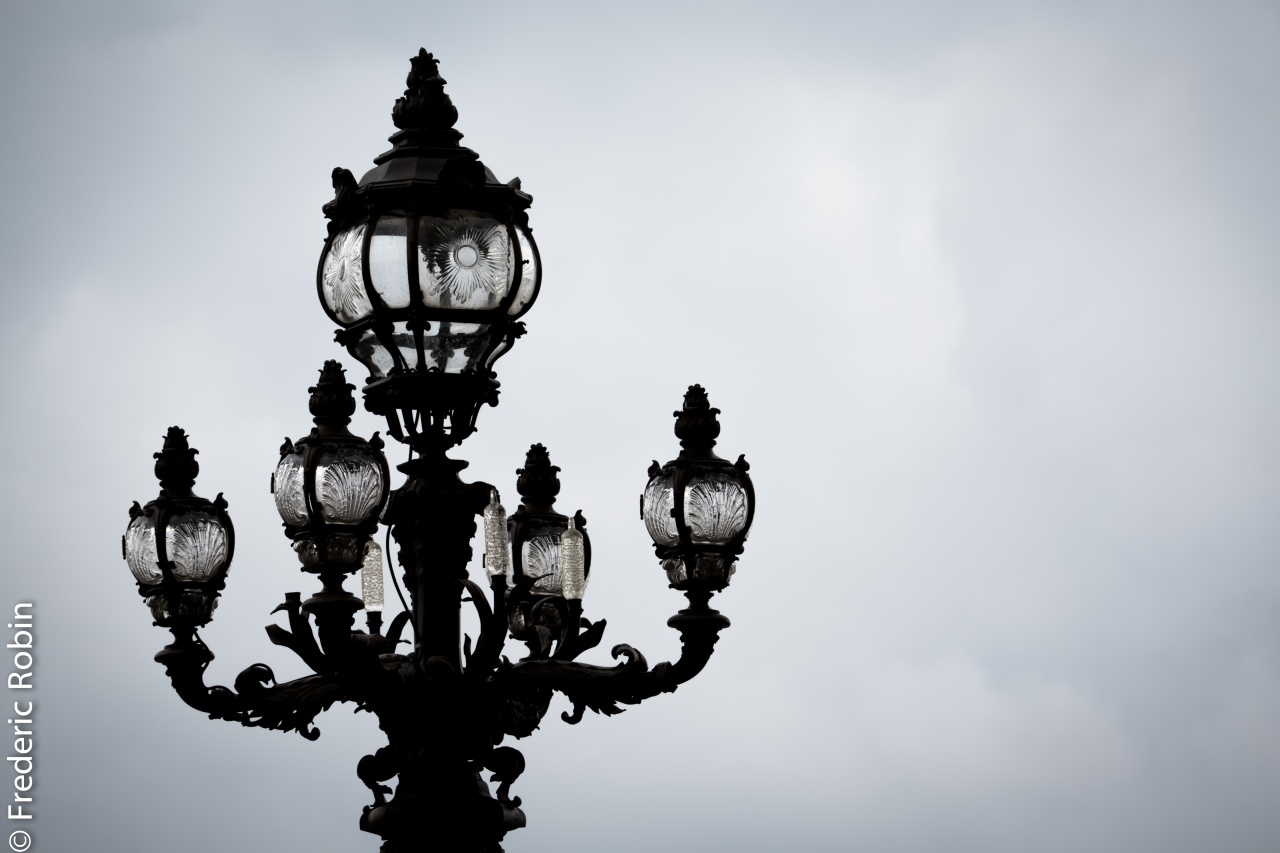 PONT ALEXANDRE III PARIS 2014-8 PONT ALEXANDRE III PARIS 2014-8