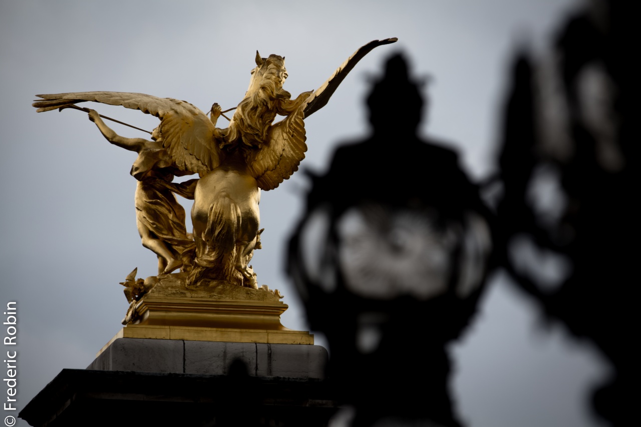 PONT ALEXANDRE III PARIS 2014-11 PONT ALEXANDRE III PARIS 2014-11