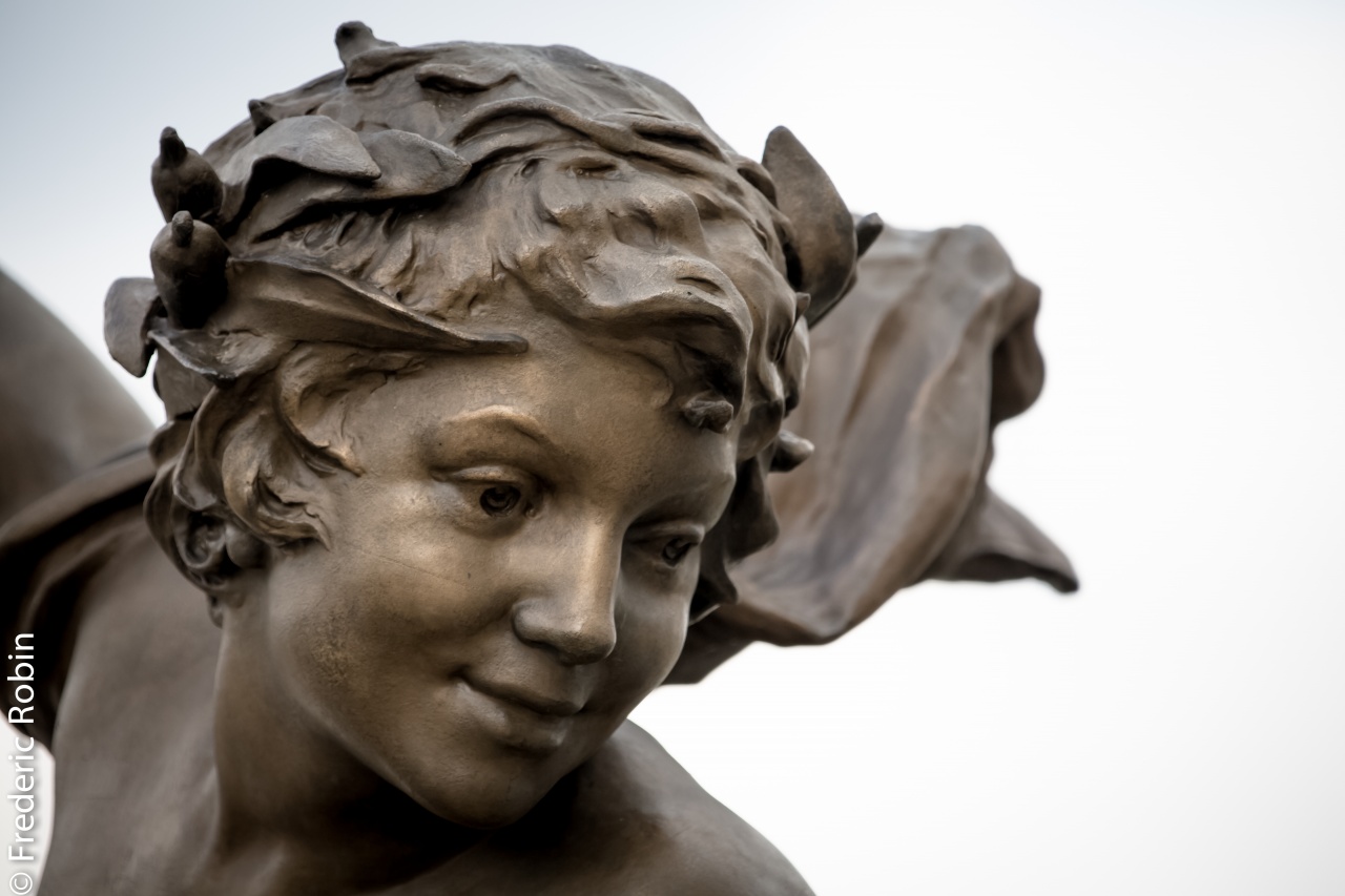 PONT ALEXANDRE III PARIS 2014-14 PONT ALEXANDRE III PARIS 2014-14