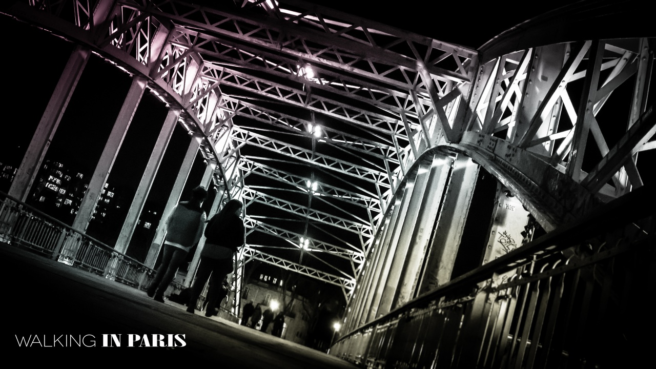 WALKING-IN-PARIS WALKING-IN-PARIS